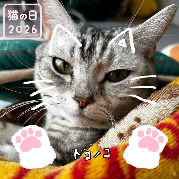 5eb8f9e6 bcad 4cca baff ee2caffad8ab 1771771021672