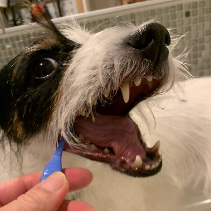 5eb90c6d 43a1 4619 b6b8 536568f30e62 1665838897712