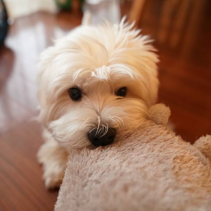 5eb90f9a 4fa5 4c6c 9c9a 5835b03cbf74 1524014777059