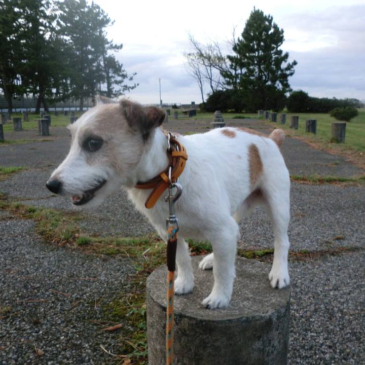 5eb91c6b 7a8d 4094 a9b9 851902ef5c1e 1570692898543