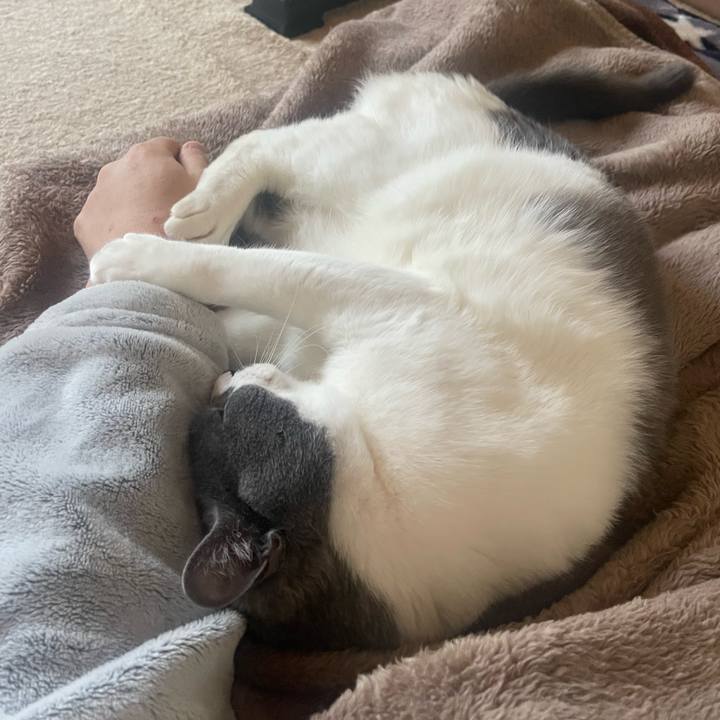 5eb939bf 9d7b 49c9 beb7 e18edb0d2720 1683018600289