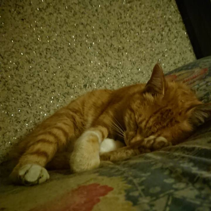 5eb980de 9663 4313 a982 16ab4a27bd16 1603279964792