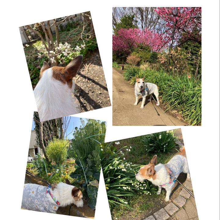 5eb992da 4afc 4940 8593 c00548caa539 1679098332236