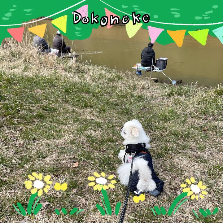 5eb9bcdf 44bd 4d13 a455 1a53b75eeea0 1711399684978