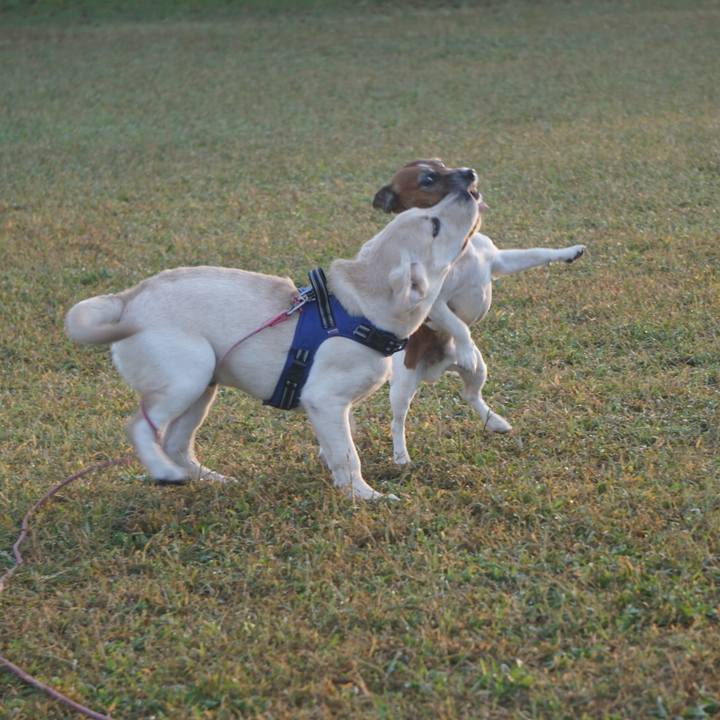 5eb9e530 04f1 40ad af7c 200592a27441 1603927512745