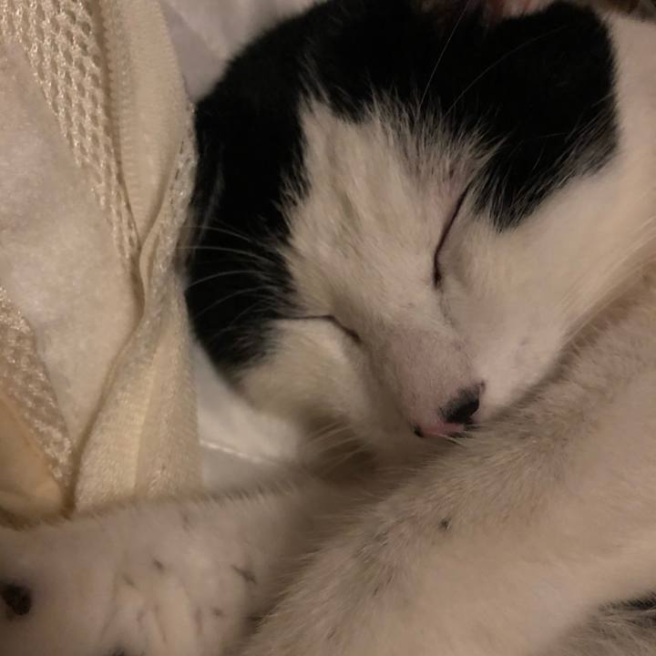 5eba68ef 1d72 44e3 9202 37eb63e6edfd 1609153473690