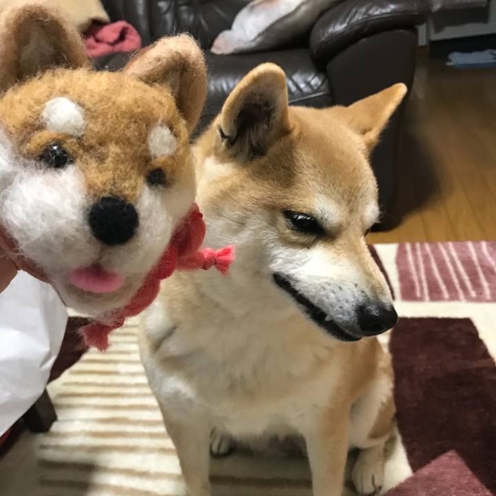 5eba9235 e9d8 44ca bf8c a130ae920530 1519121010565