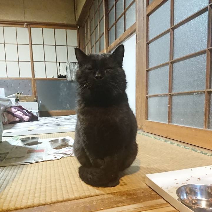 5eba9443 6cbd 41b8 a829 f1cafe6426b1 1618828411623