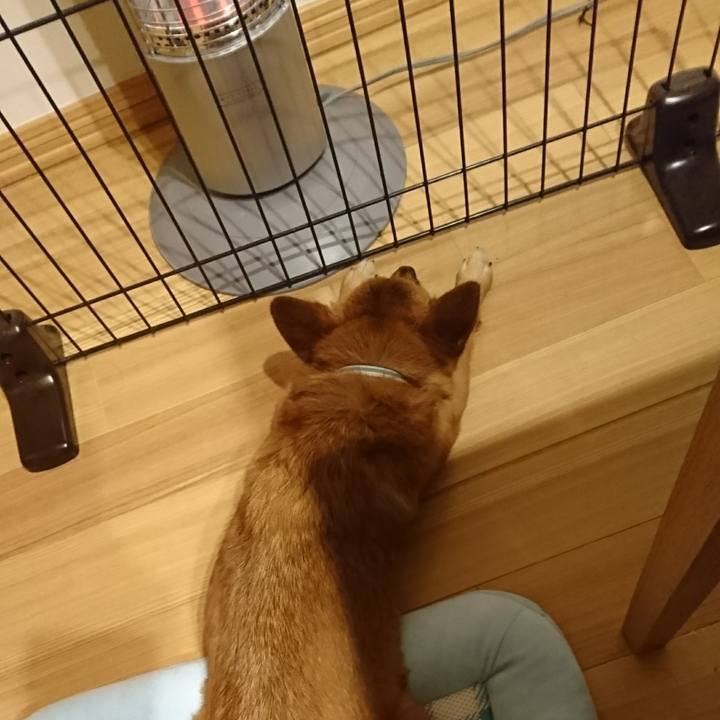 5eba9a57 af5b 4222 bf62 f6f3c8848a1a 1508510907592