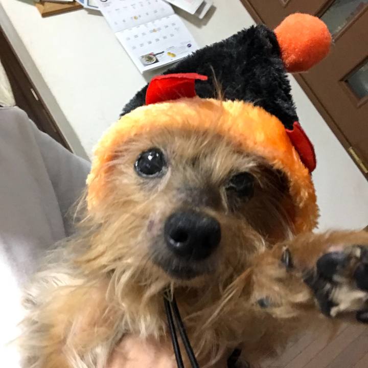 5eba9bcd a4fa 4cb6 924b 037ddad76b66 1535698693149