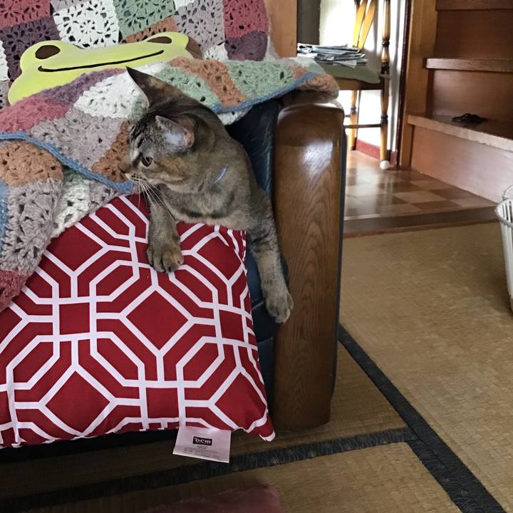 5ebacafd 69a1 473f a5c4 0e43ce77b9da 1573204394236