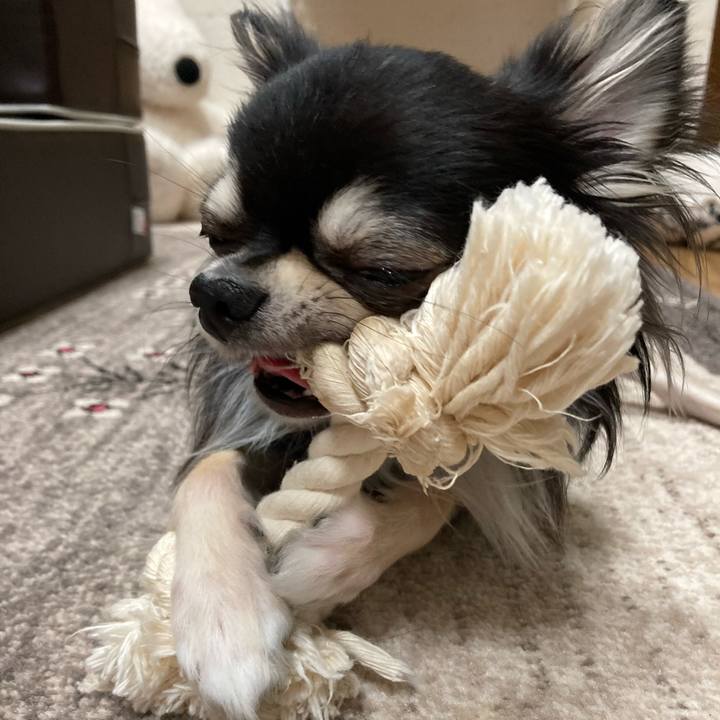 5ebaf79a 4399 4142 8c10 71d7454496c3 1616247666857