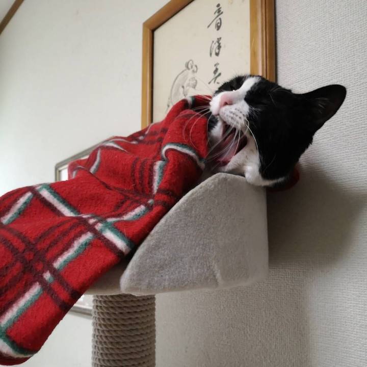 5ebafa74 8e88 4ca4 bbb5 6b3cf4c38767 1648267263618