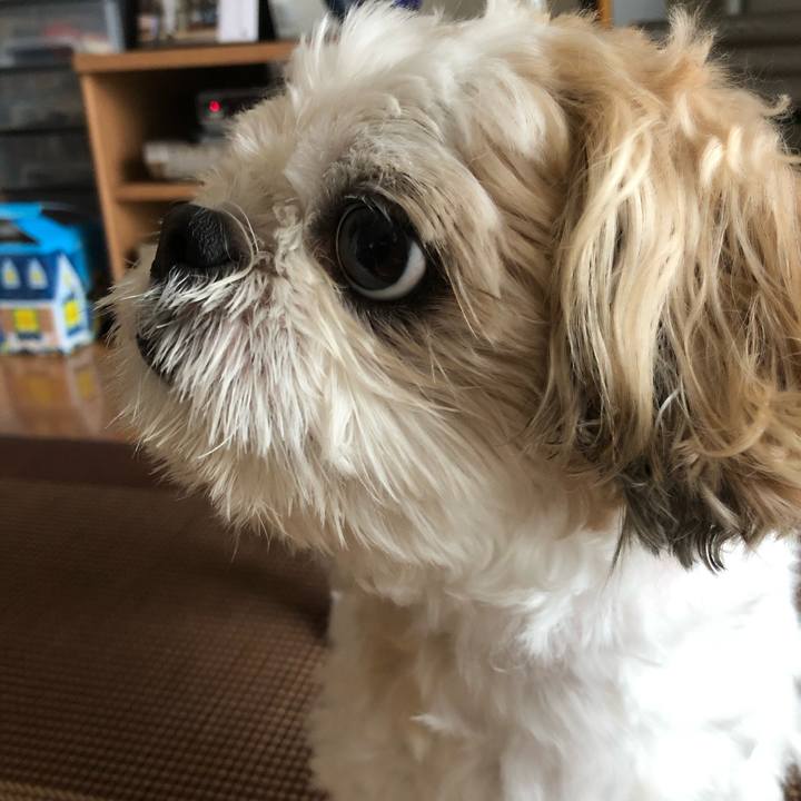 5ebb2435 4926 4f37 bdac 32de2244cd4b 1629409749811