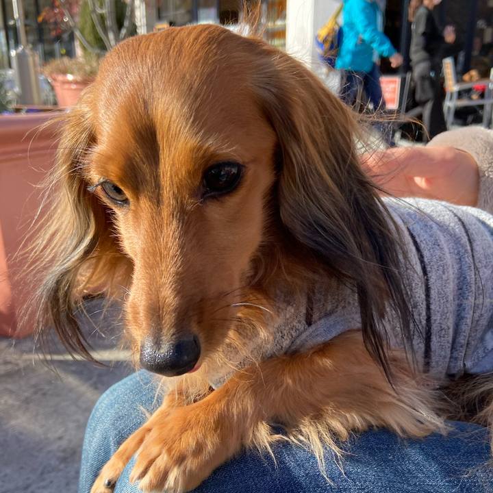 5ebb2657 a23c 4379 98e3 8e8504649e0f 1641401075893