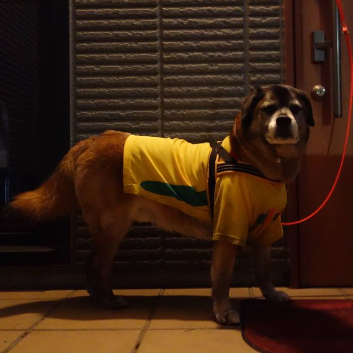 5ebb87f2 0373 4f76 b048 b684cd62cbe1 1523961741861