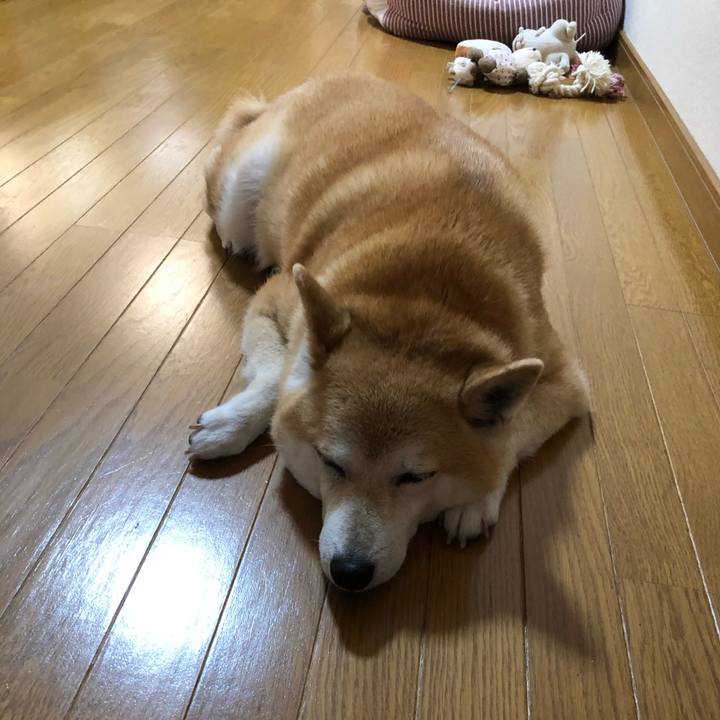 5ebb8881 362e 4c7e bb51 9b96377d916a 1593946285813