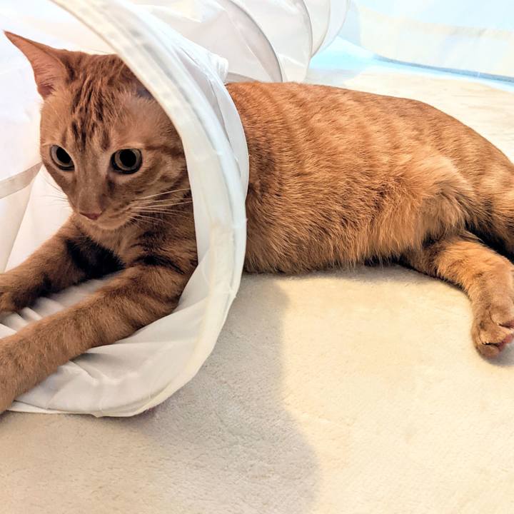 5ebb8c05 7fa0 4ec5 ac35 800e2deb3260 1617534384477