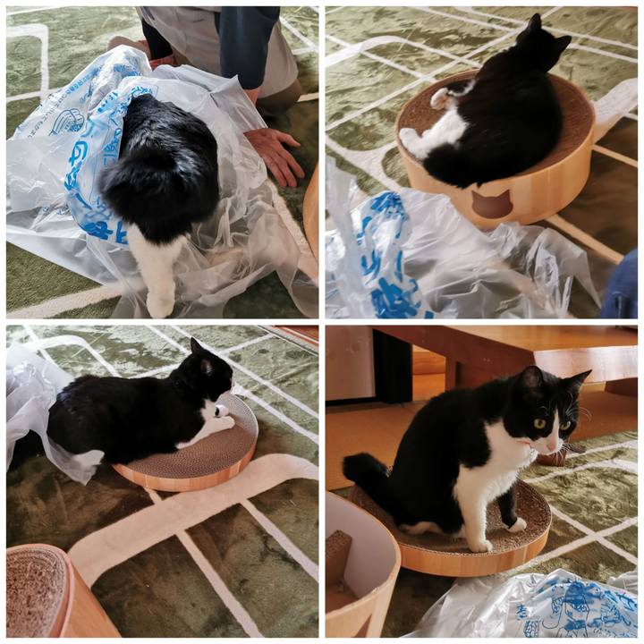 5ebb9afe cb29 47e5 a9d0 d6935a040d1d 1620705492942