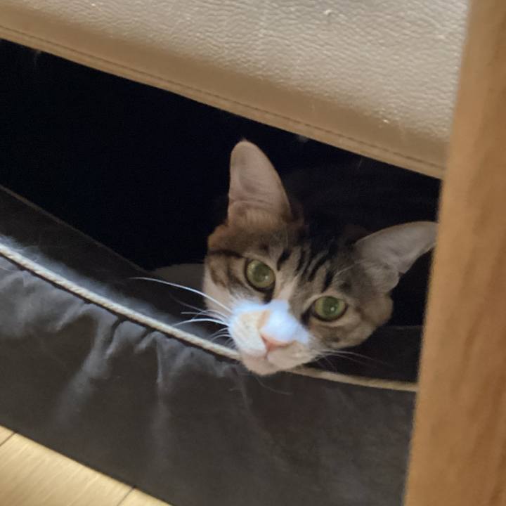 5ebc0b53 82c1 490a b2b8 ac81a6f75947 1700209828388