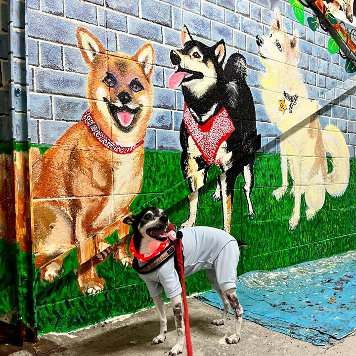 5ebc3247 3812 4684 9583 d6a4dd9e620e 1653566866823