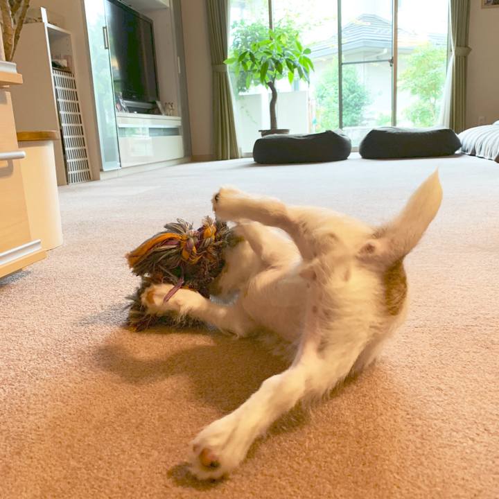 5ebc4e89 5fb0 44cb a2e5 c681eb8d2ef8 1563769166742