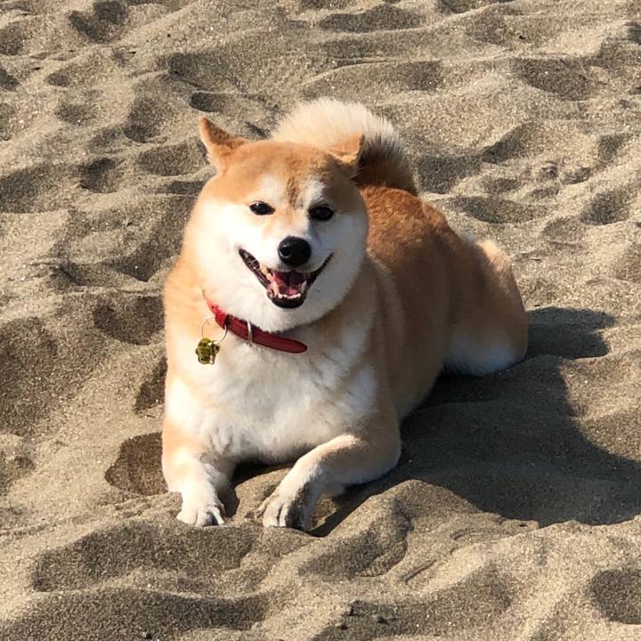 5ebc65d9 4064 4f0a bd50 7d0ecf95a9bc 1564059558981