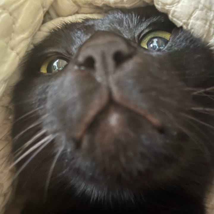 5ebc6f62 df3a 4221 8816 76d156be175a 1683847591306