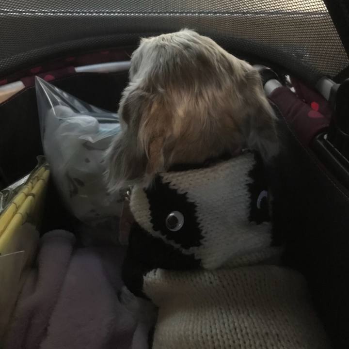 5ebc8246 ef86 4c26 8745 86b2c4f8612c 1509678585463