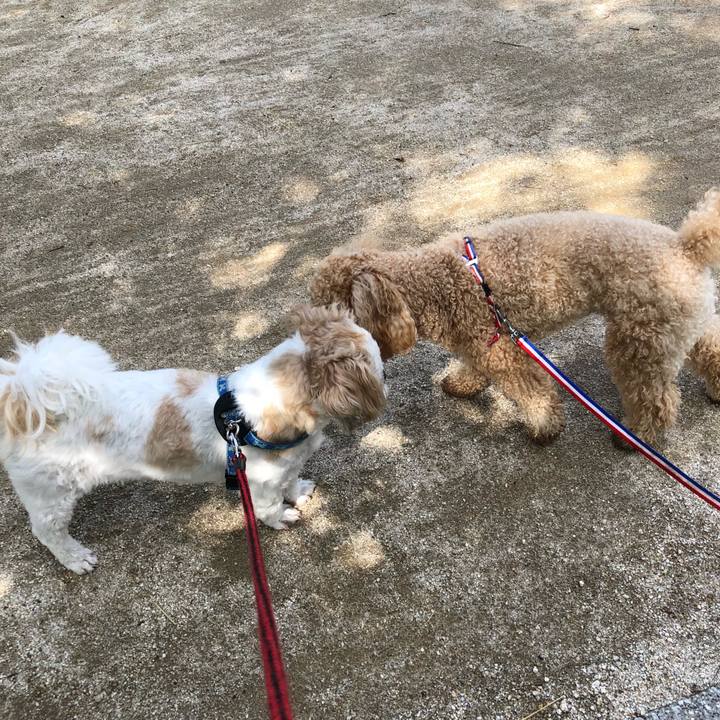 5ebcc8b4 71d3 4dc2 8231 d1c27b3eab7d 1528666384640