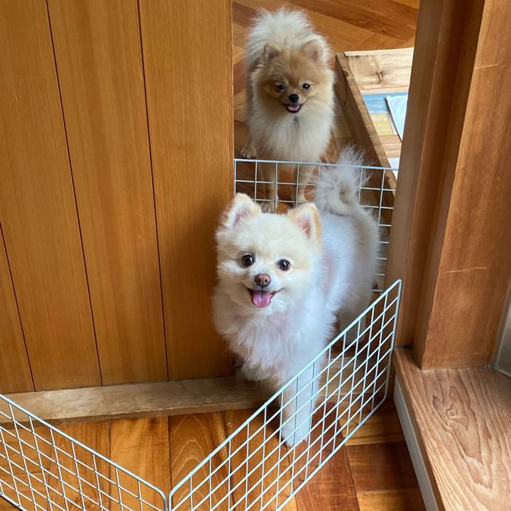 5ebccfae 7390 4e72 83e1 b2bbffaec4d0 1662175181919