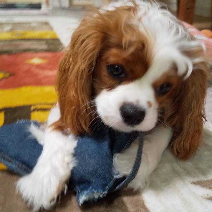 5ebcd1e4 a807 459f 99d5 c677cbeecc2b 1581824823593