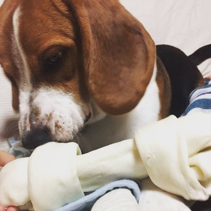 5ebcf2ab d7ac 4cce bc95 22a3a107e292 1535026859012