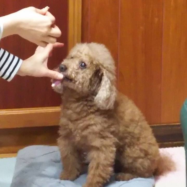 5ebd29a4 d011 489c b477 62963afff005 1547807261025