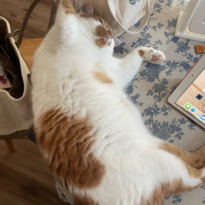 5ebd47e6 a8c8 4b6f a716 e0a64bbaedb5 1689031333677