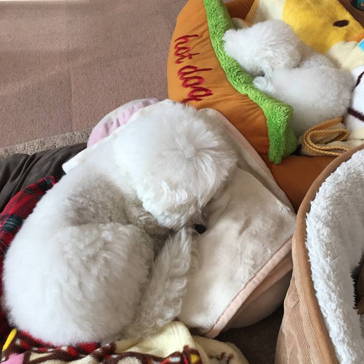 5ebd4c22 c254 49b3 bd68 22a599d2d35a 1578970650290