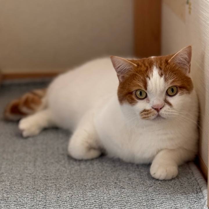 5ebd5b65 32b1 4cd9 b833 08c6300e6ad7 1765072615398