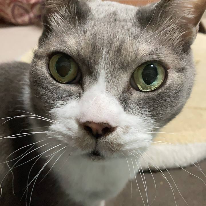 5ebd6882 43f7 4624 b1e3 15555e7c00f9 1710328721696