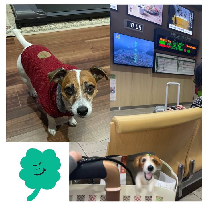 5ebd70ac c309 48fc ad2e 3f63c1973344 1737769033150