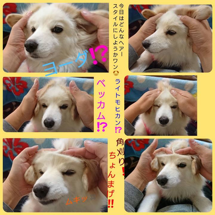 5ebd9340 4626 4e52 a0d2 135e70dfc38a 1637273301199