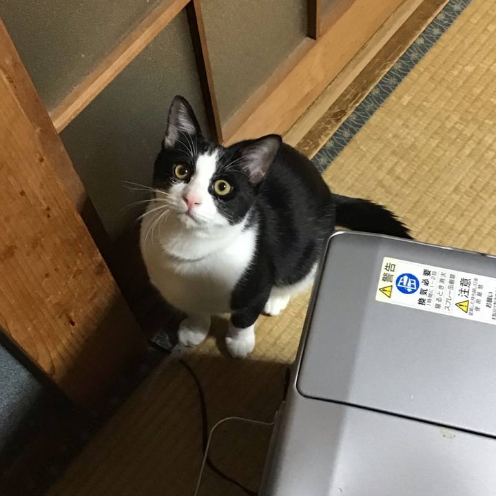 5ebdc25a 6623 411b bc57 480747799d3e 1636624331520