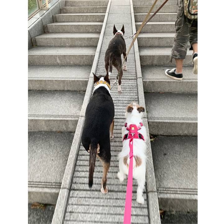 5ebdcbe3 2fde 4f1a b6b2 41ec988dbcc2 1571004324082