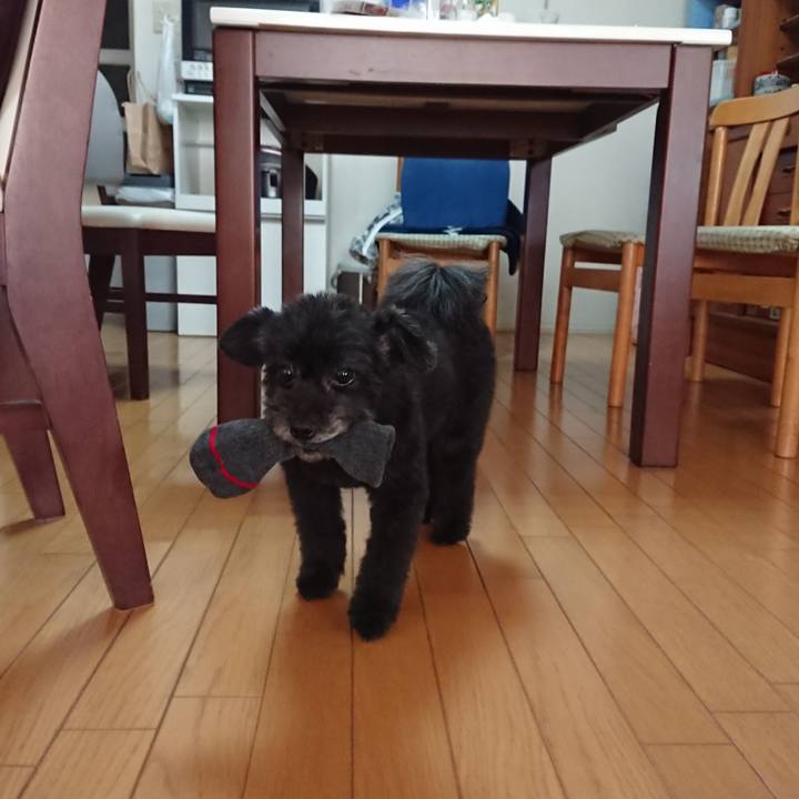 5ebe01d8 f264 4841 a864 67d30f913e5e 1575785575852