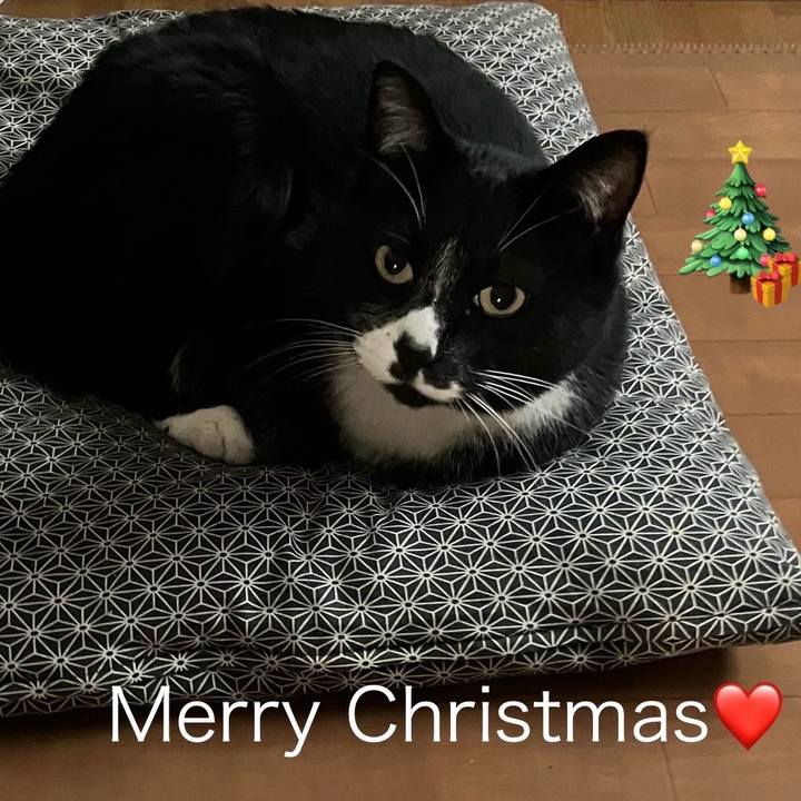 5ebe0b27 1837 4391 80e6 2e69a9c4411f 1735168768300