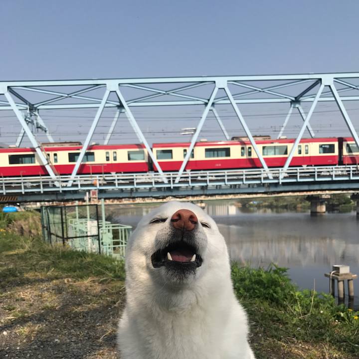 5ebe2afc 232b 45d6 a597 57dd1430d74e 1522803297720