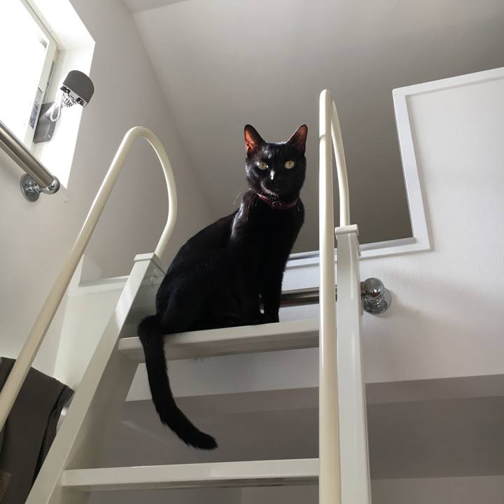 5ebe47f9 6e0d 41c0 a8ba 62ed4def2bab 1566341851989