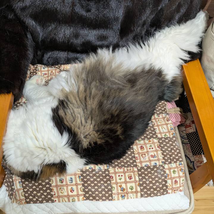 5ebe6638 7a22 4227 82ad a4b7d18d8a9d 1764158990843