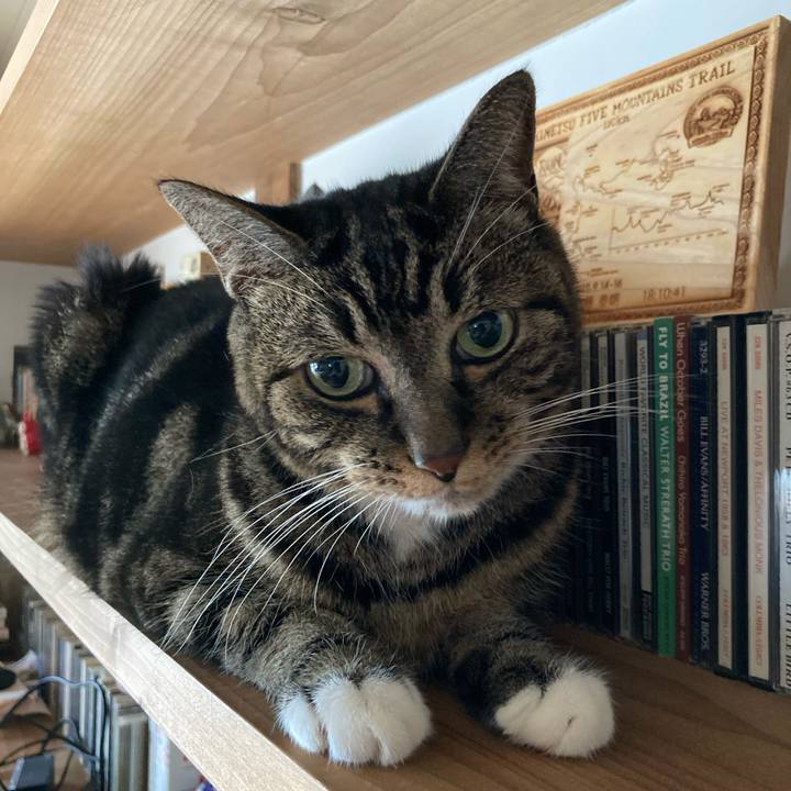 5ebea31f d65c 4bbc 87dd 64c719e4f7ac 1602682249116