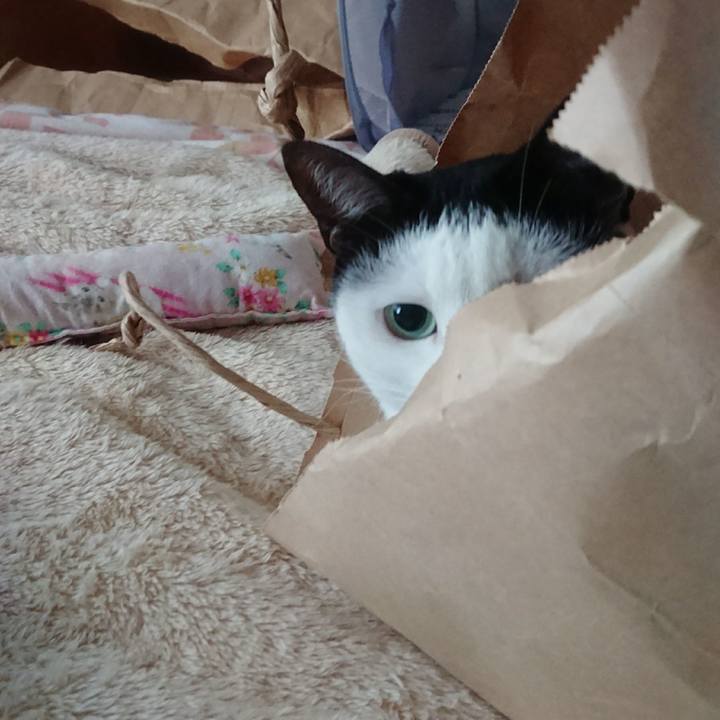 5ebed498 a676 40f7 b7eb 6f0fcc129ccb 1525766164347