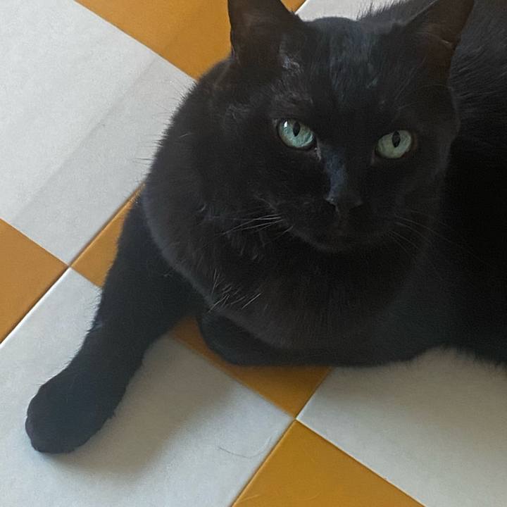 5ebefce9 56e9 4345 adf7 fbebb837cfee 1717827298505